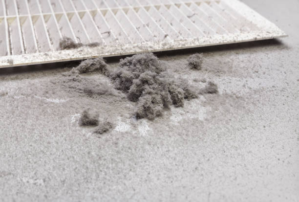 Best Best Air Duct Cleaning Company  in Spring Hope, NC